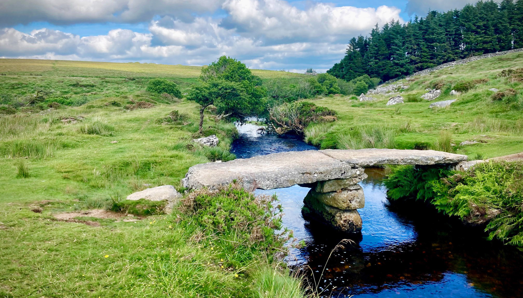 Things to do in Dartmoor