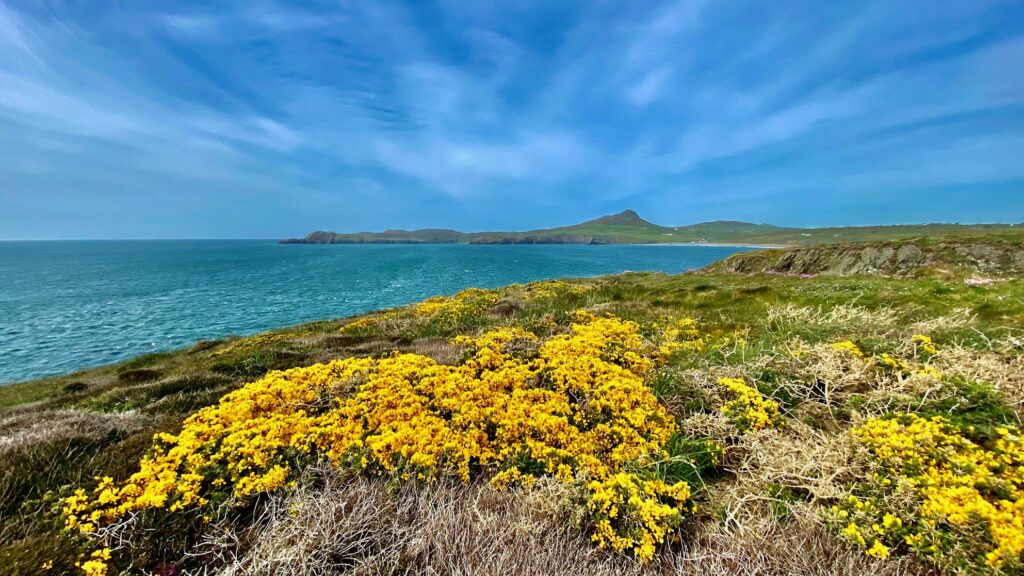 Beautiful Coastal path on the Coastal Way